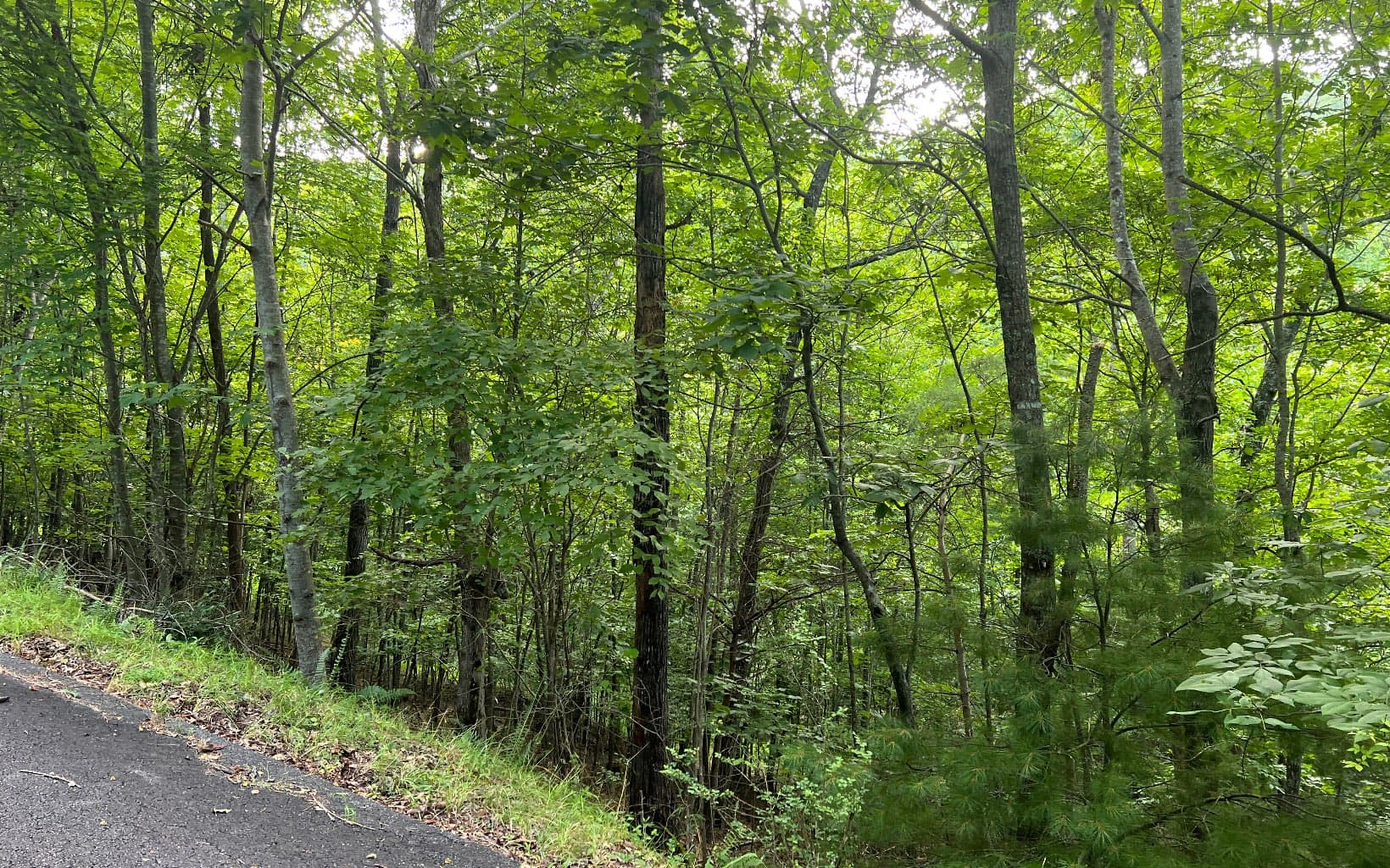Lot 13 The Preserve At Beach Mountain, Brasstown NC 28902 - Photo