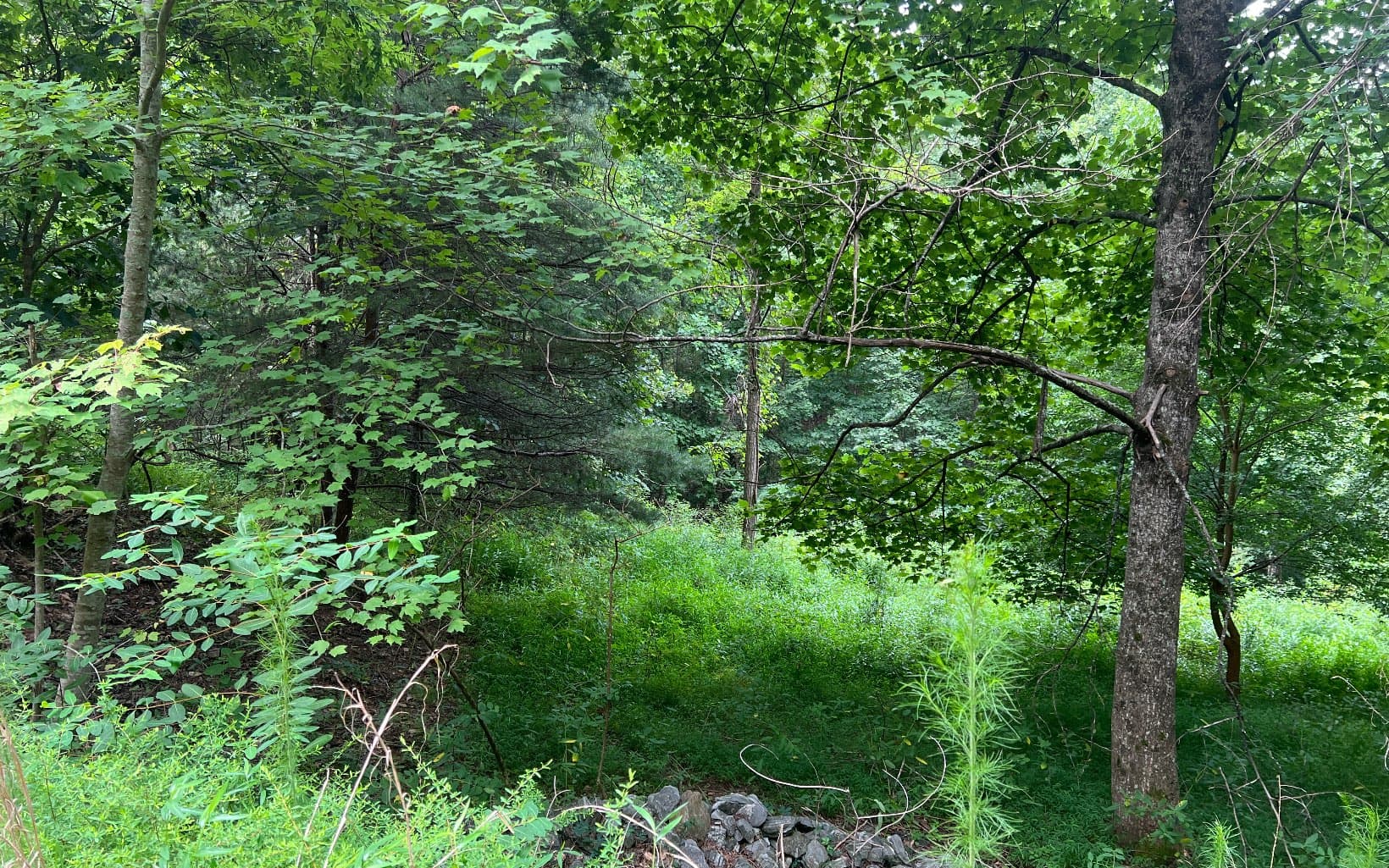 Lot 13 The Preserve At Beach Mountain, Brasstown NC 28902 - Photo
