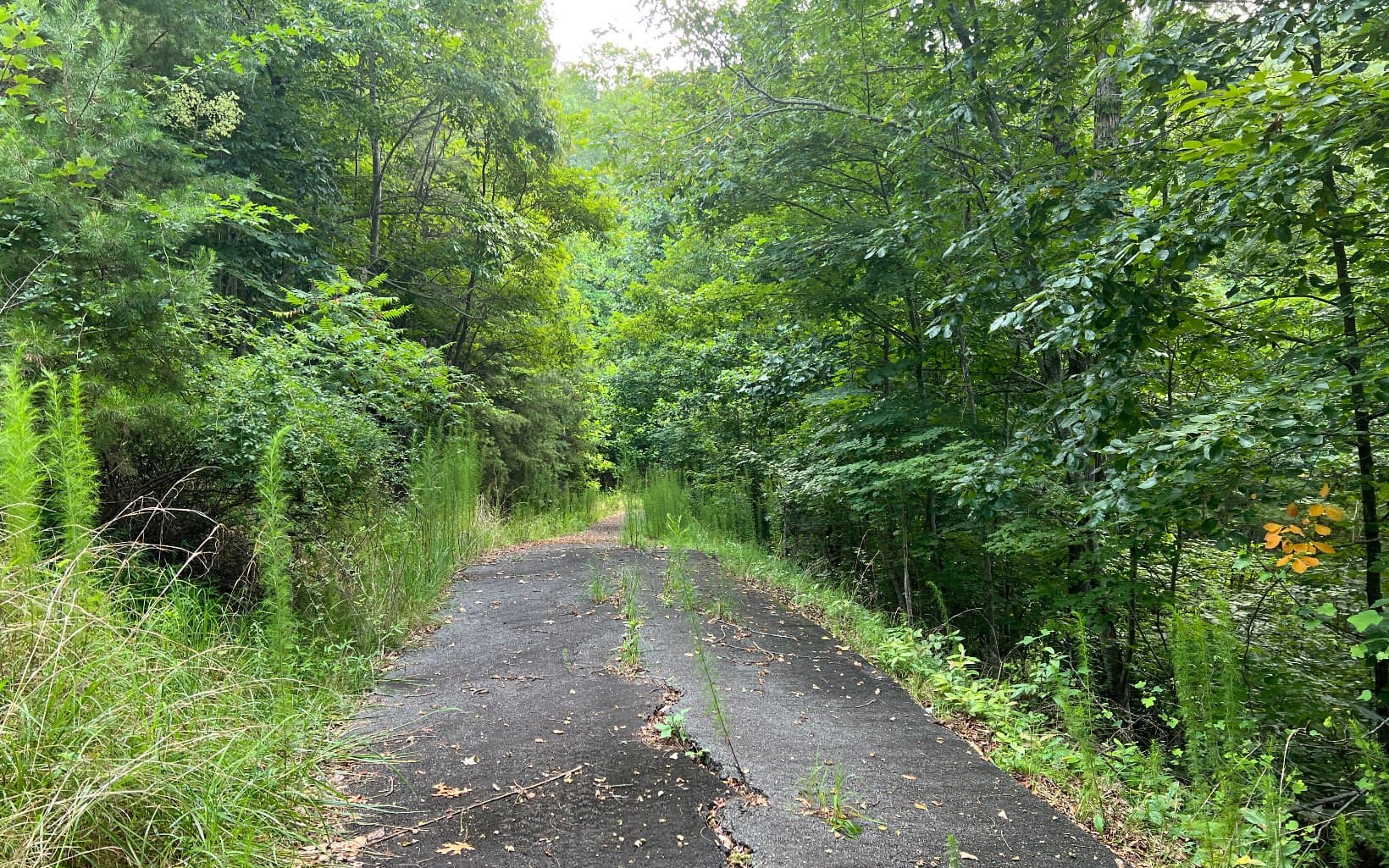 Lot 13 The Preserve At Beach Mountain, Brasstown NC 28902 - Photo