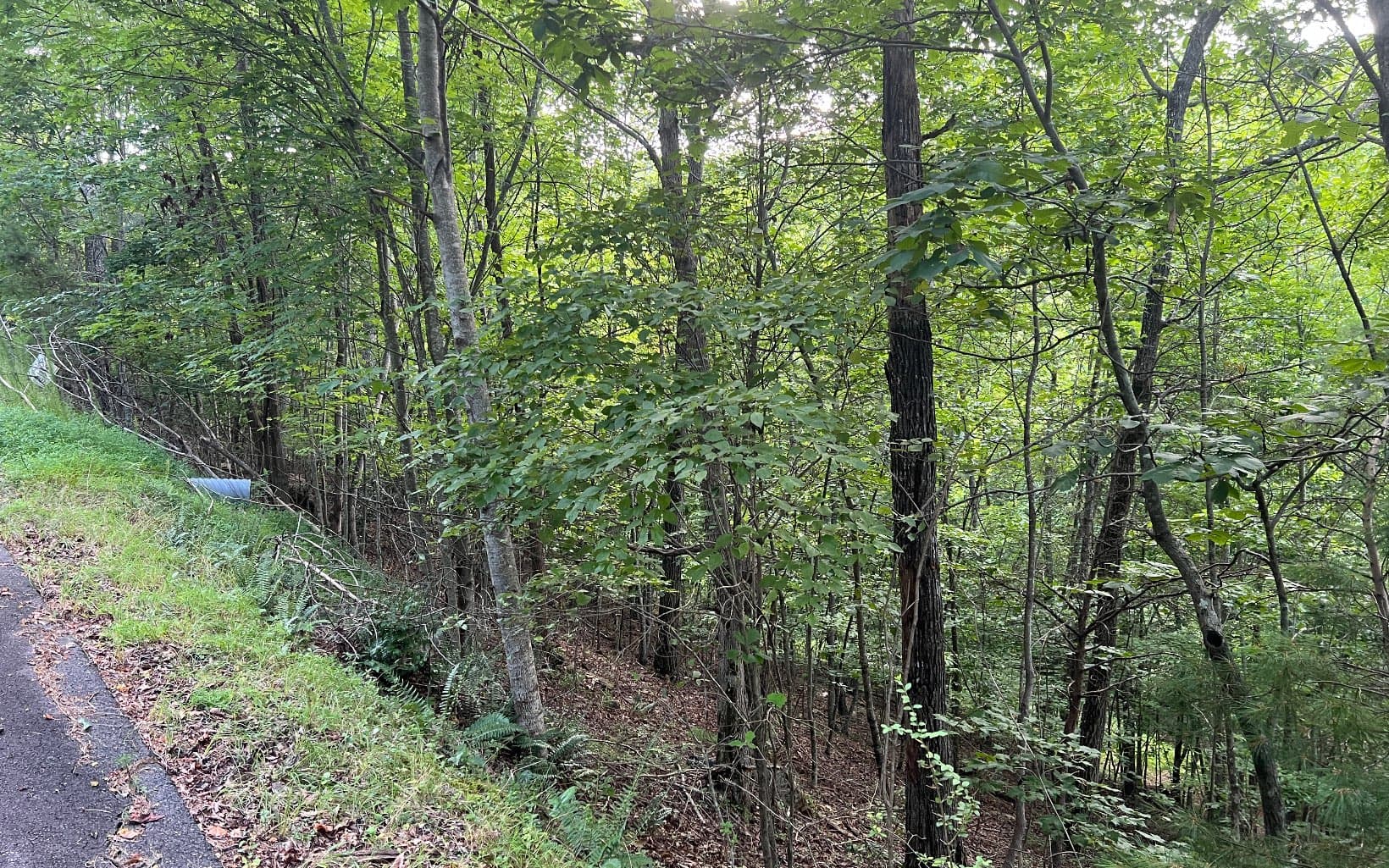 Lot 13 The Preserve At Beach Mountain, Brasstown NC 28902 - Photo