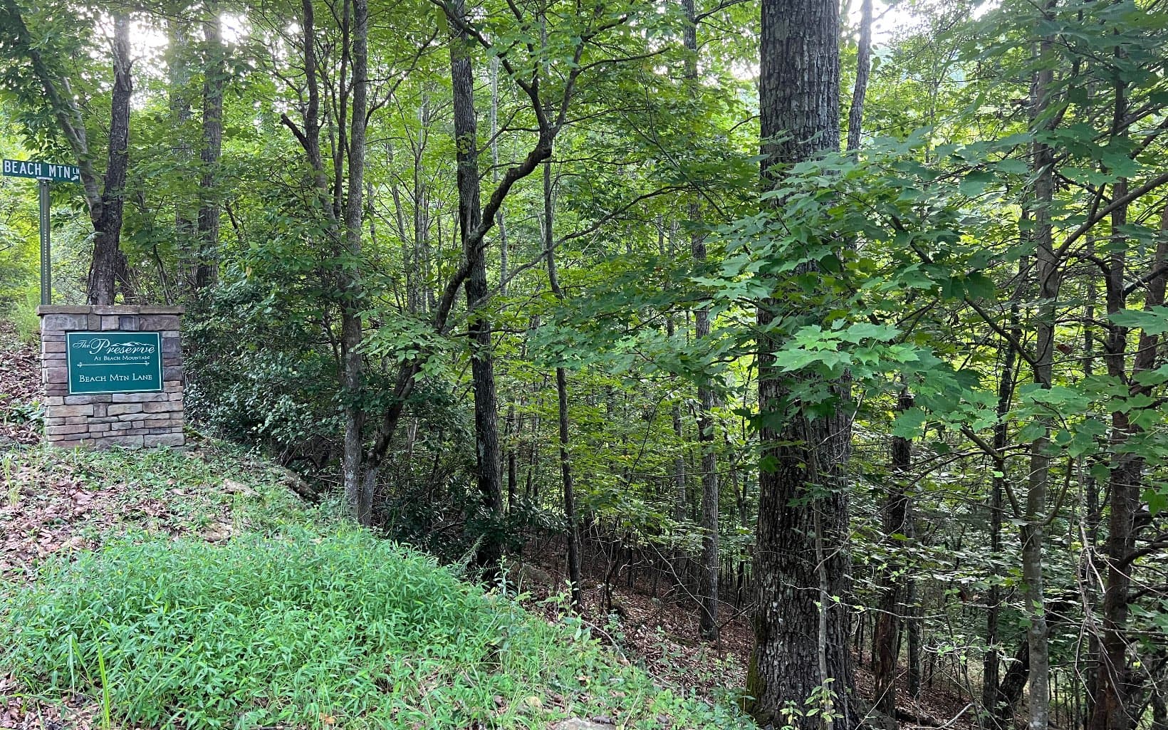 Lot 13 The Preserve At Beach Mountain, Brasstown NC 28902 - Photo