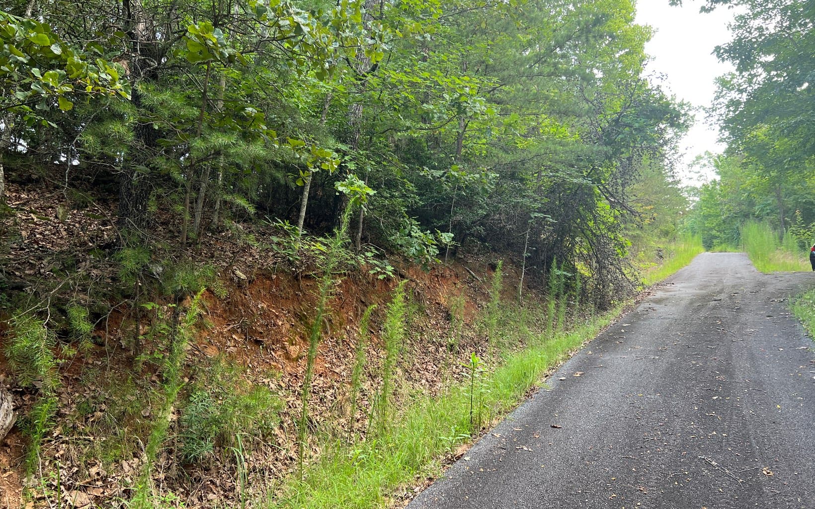 Lot 13 The Preserve At Beach Mountain, Brasstown NC 28902 - Photo