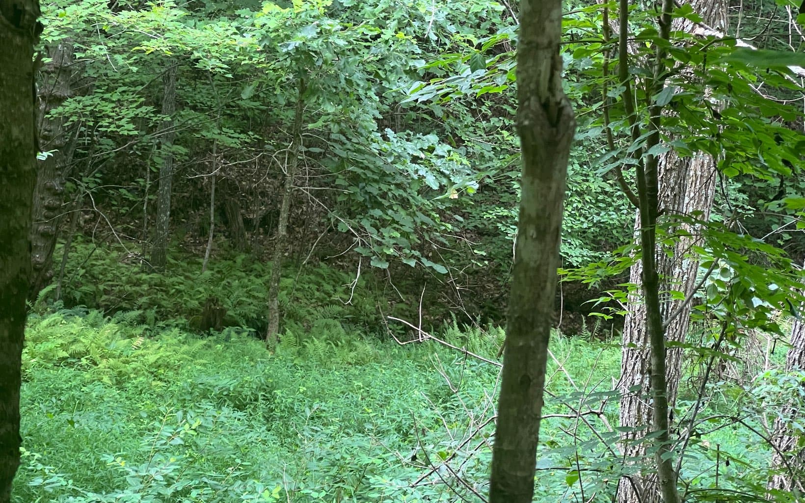 Lot 13 The Preserve At Beach Mountain, Brasstown NC 28902 - Photo