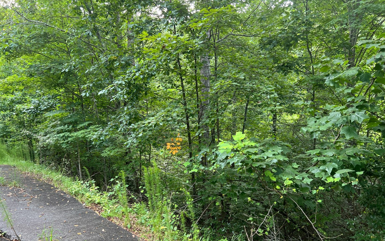 Lot 13 The Preserve At Beach Mountain, Brasstown NC 28902 - Photo