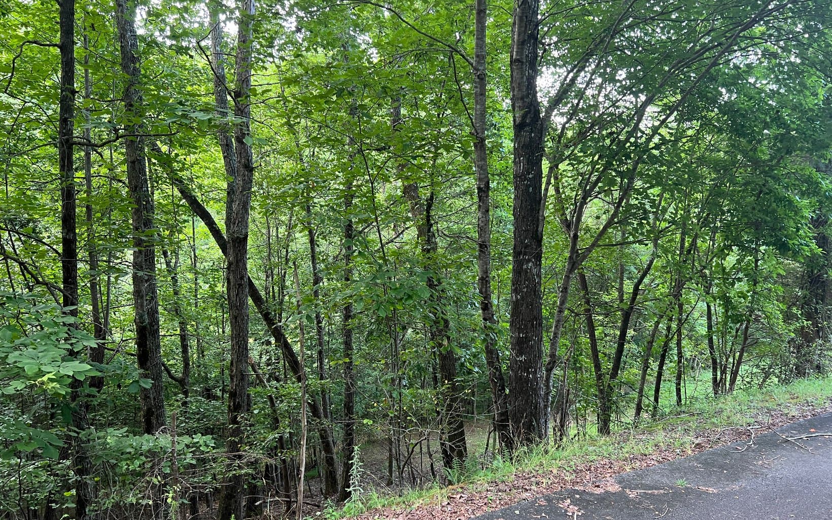 Lot 13 The Preserve At Beach Mountain, Brasstown NC 28902 - Photo