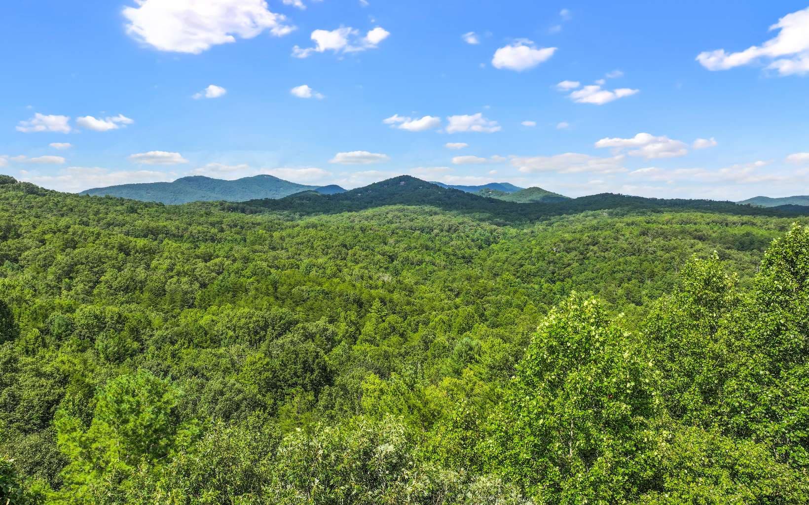 Lot 1 North View Drive, Mineral Bluff GA 30559 - Photo