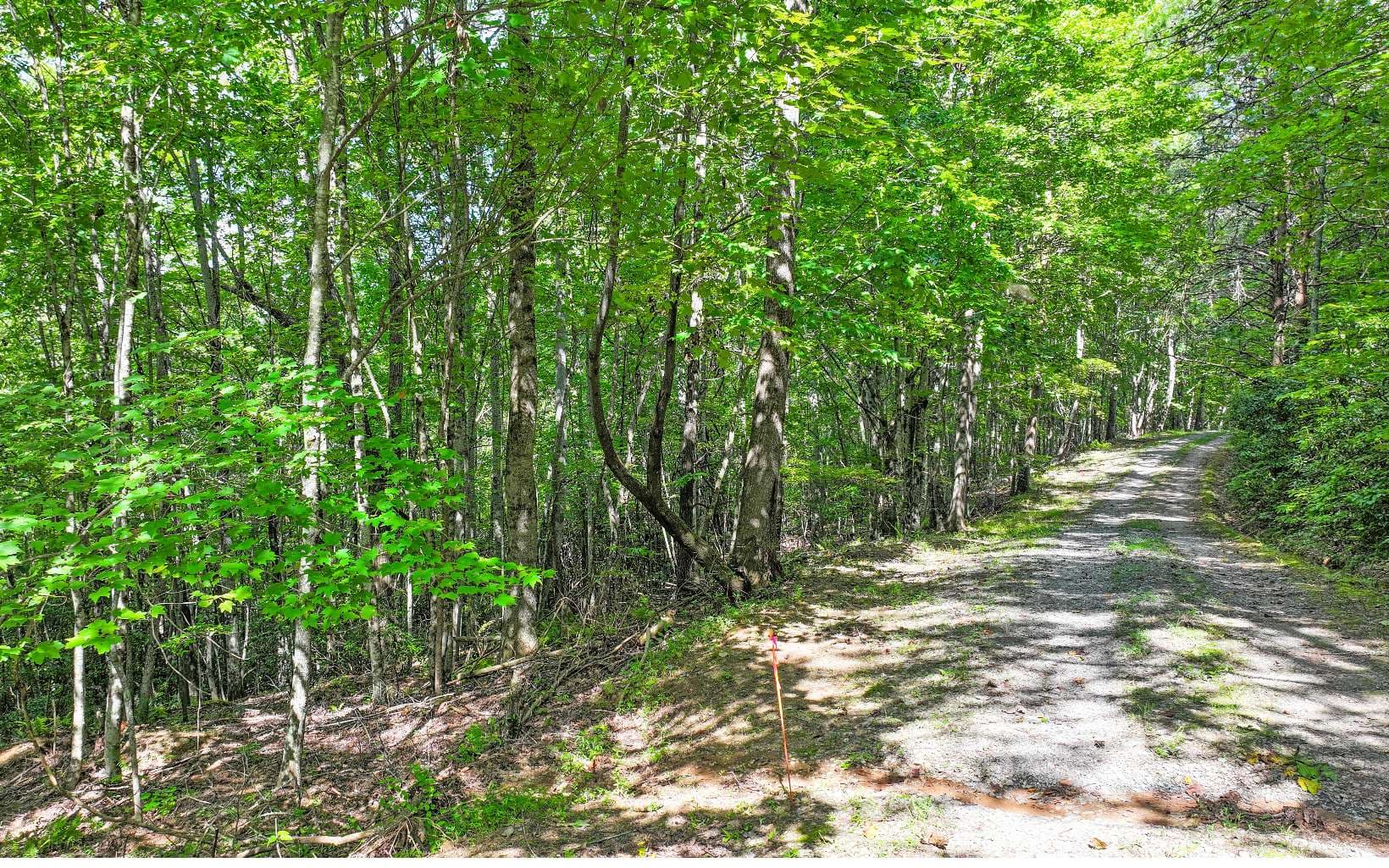 Lot 1 North View Drive, Mineral Bluff GA 30559 - Photo