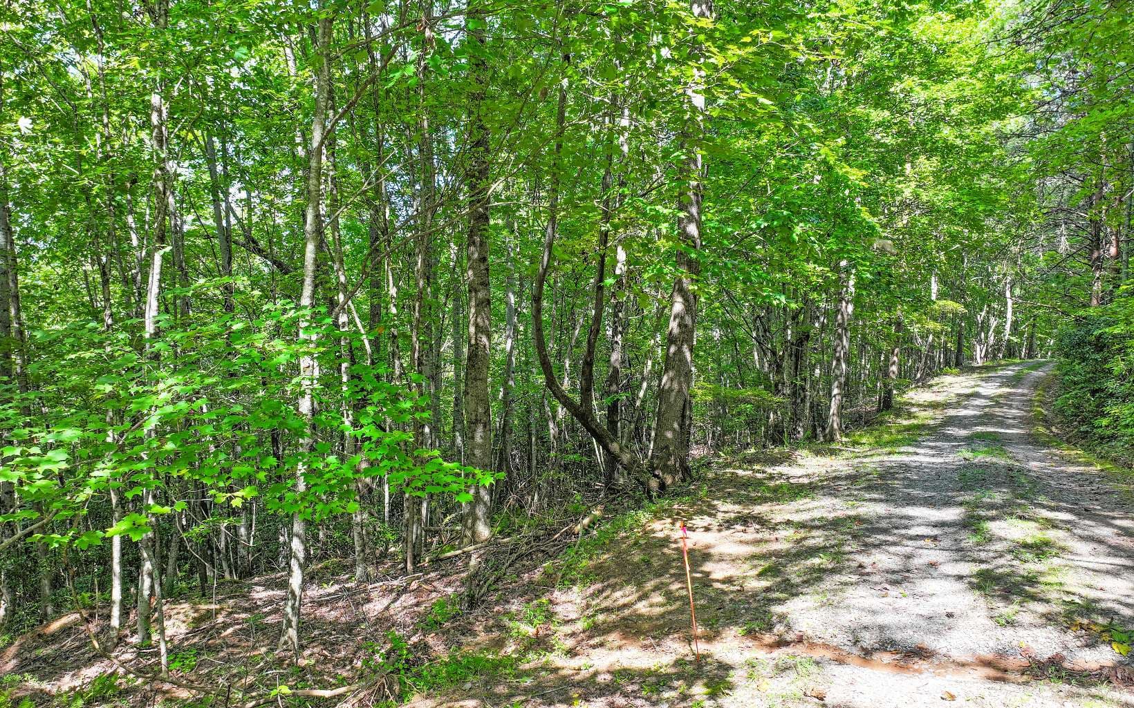 Lot 2 North View Drive, Mineral Bluff GA 30559 - Photo