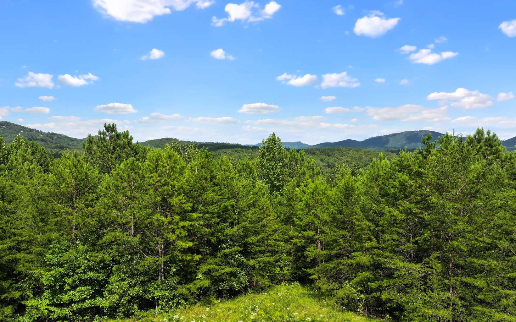 Lot 2 North View Drive, Mineral Bluff GA 30559 - Photo