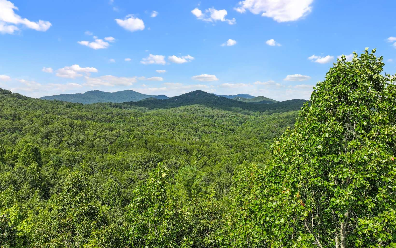 Lot 2 North View Drive, Mineral Bluff GA 30559 - Photo
