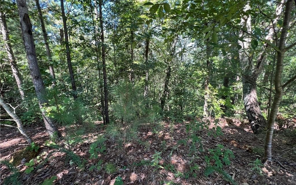 16 Hawks Branch Lane, White GA 30184 - Photo