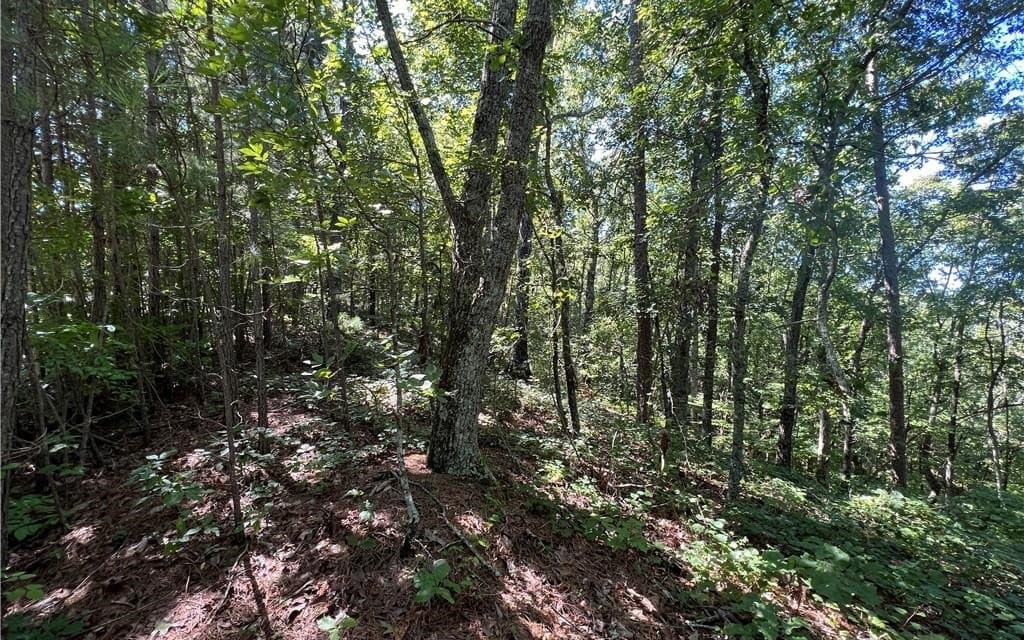 16 Hawks Branch Lane, White GA 30184 - Photo