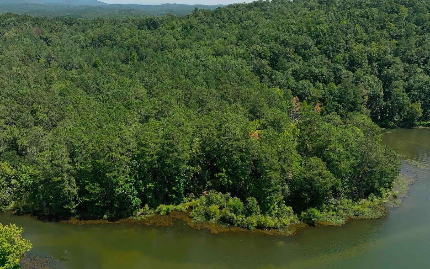 16 Hawks Branch Lane, White GA 30184 - Photo