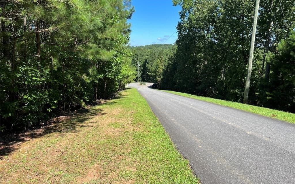 16 Hawks Branch Lane, White GA 30184 - Photo