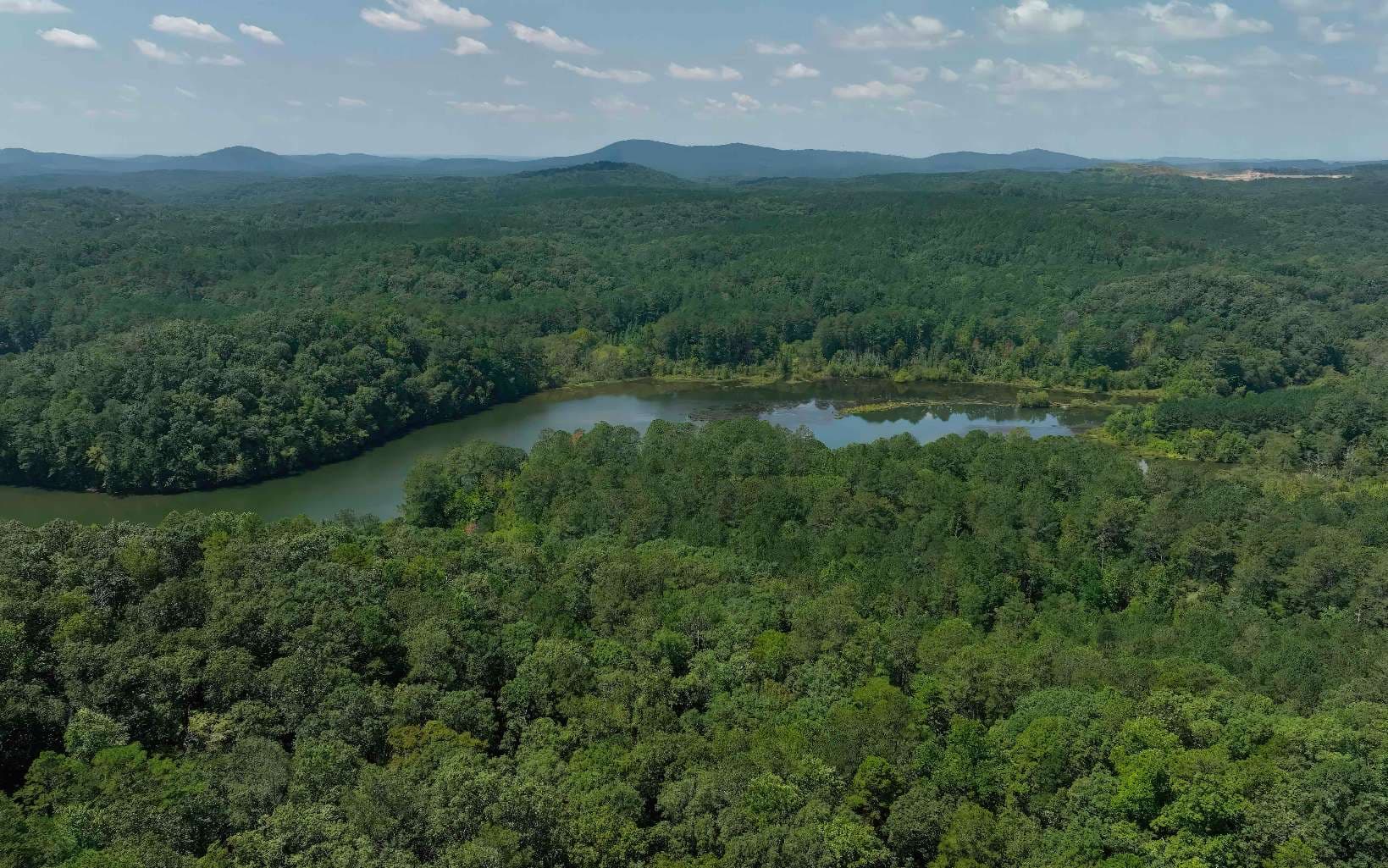 16 Hawks Branch Lane, White GA 30184 - Photo