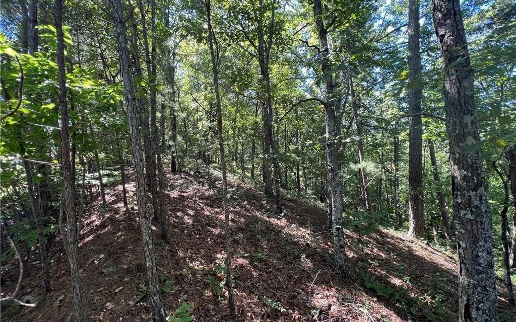 16 Hawks Branch Lane, White GA 30184 - Photo