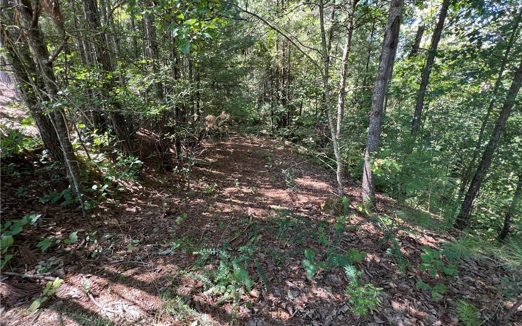 16 Hawks Branch Lane, White GA 30184 - Photo