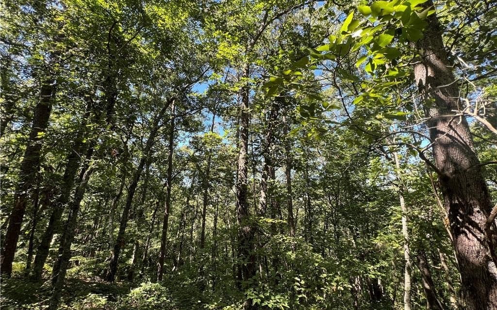 16 Hawks Branch Lane, White GA 30184 - Photo