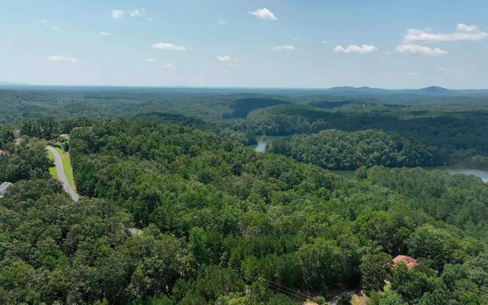 16 Hawks Branch Lane, White GA 30184 - Photo