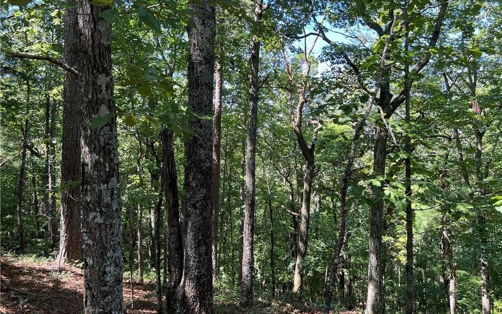 16 Hawks Branch Lane, White GA 30184 - Photo