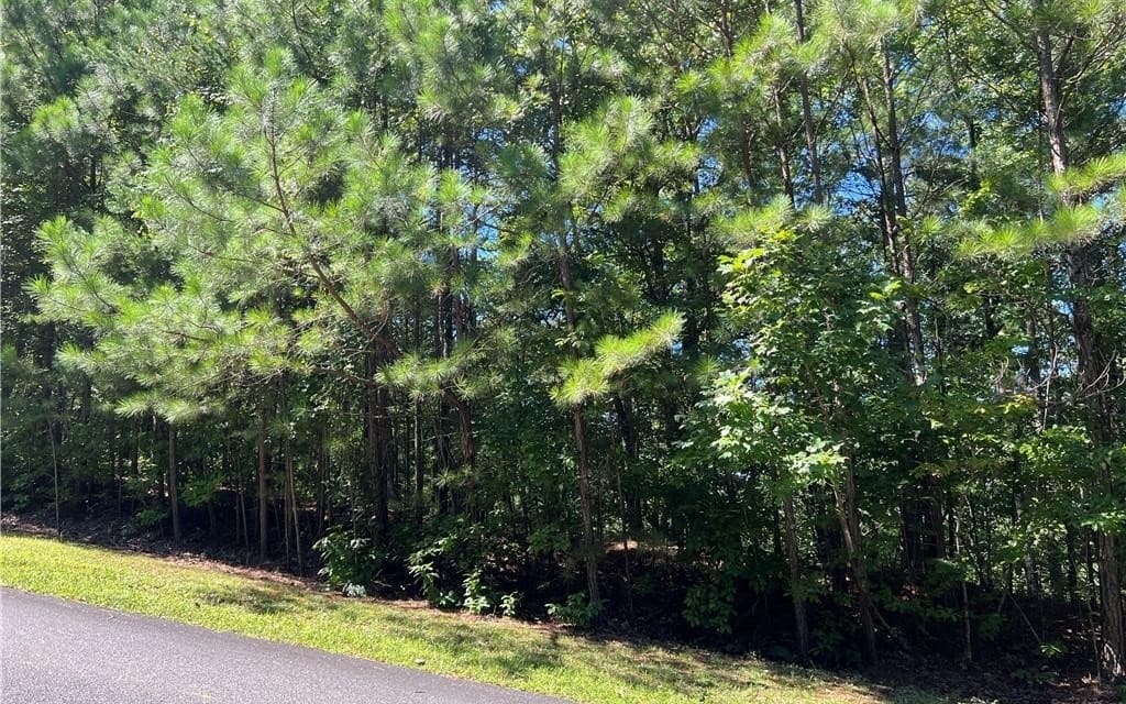 16 Hawks Branch Lane, White GA 30184 - Photo