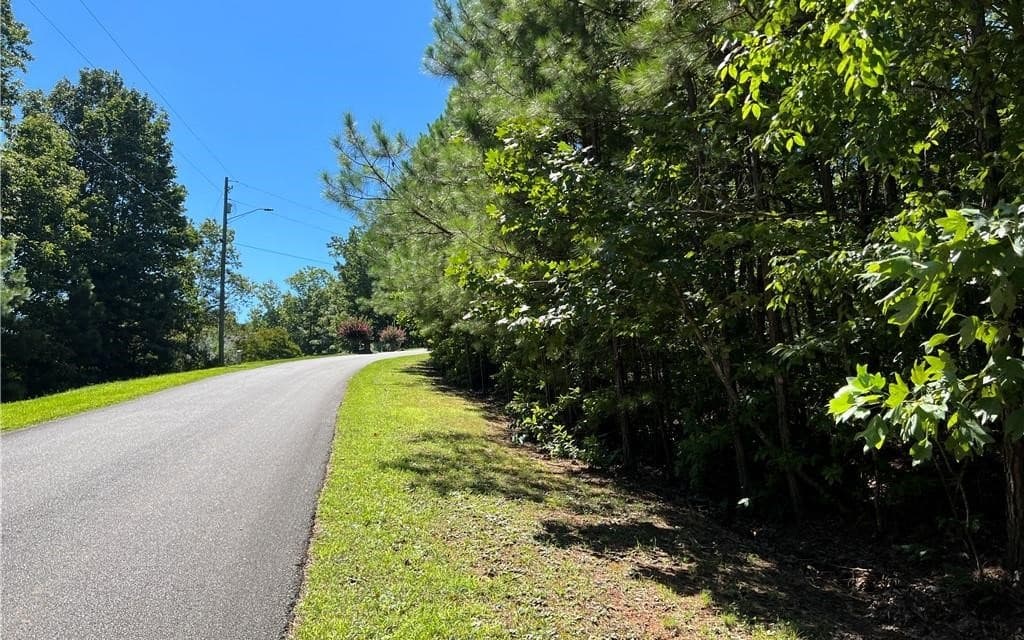 16 Hawks Branch Lane, White GA 30184 - Photo