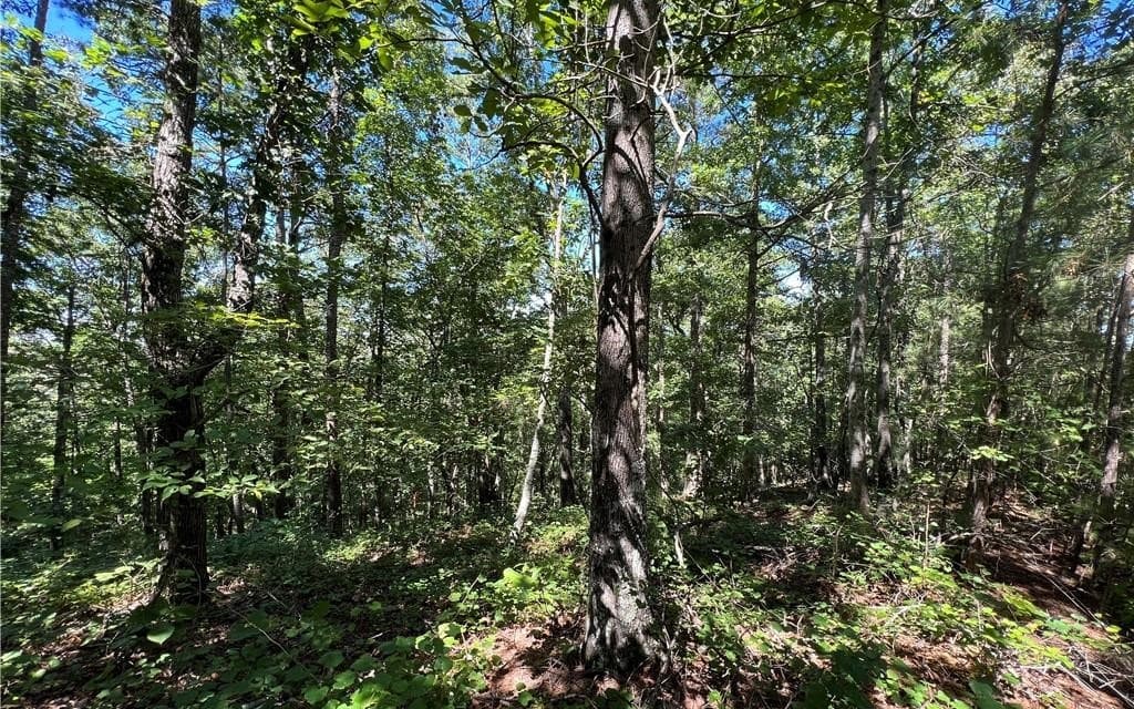16 Hawks Branch Lane, White GA 30184 - Photo