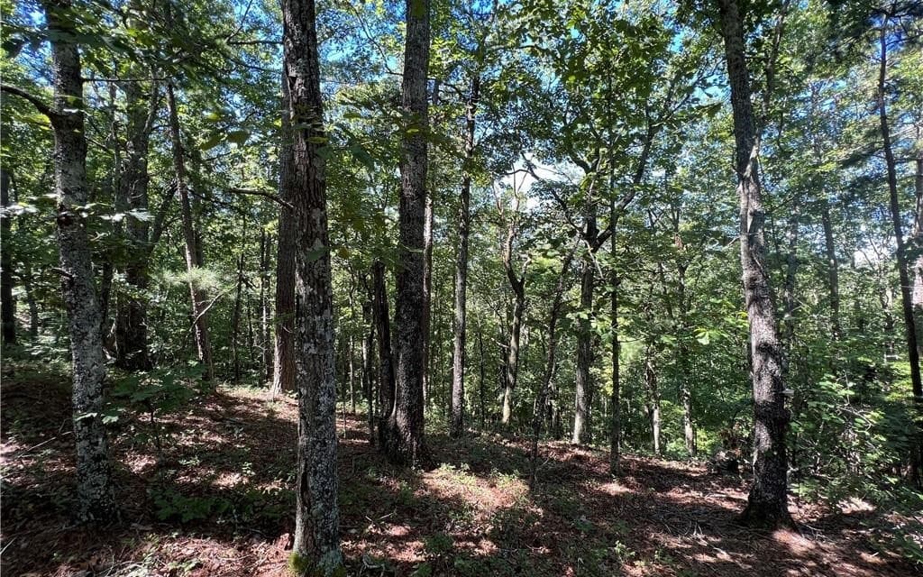 16 Hawks Branch Lane, White GA 30184 - Photo