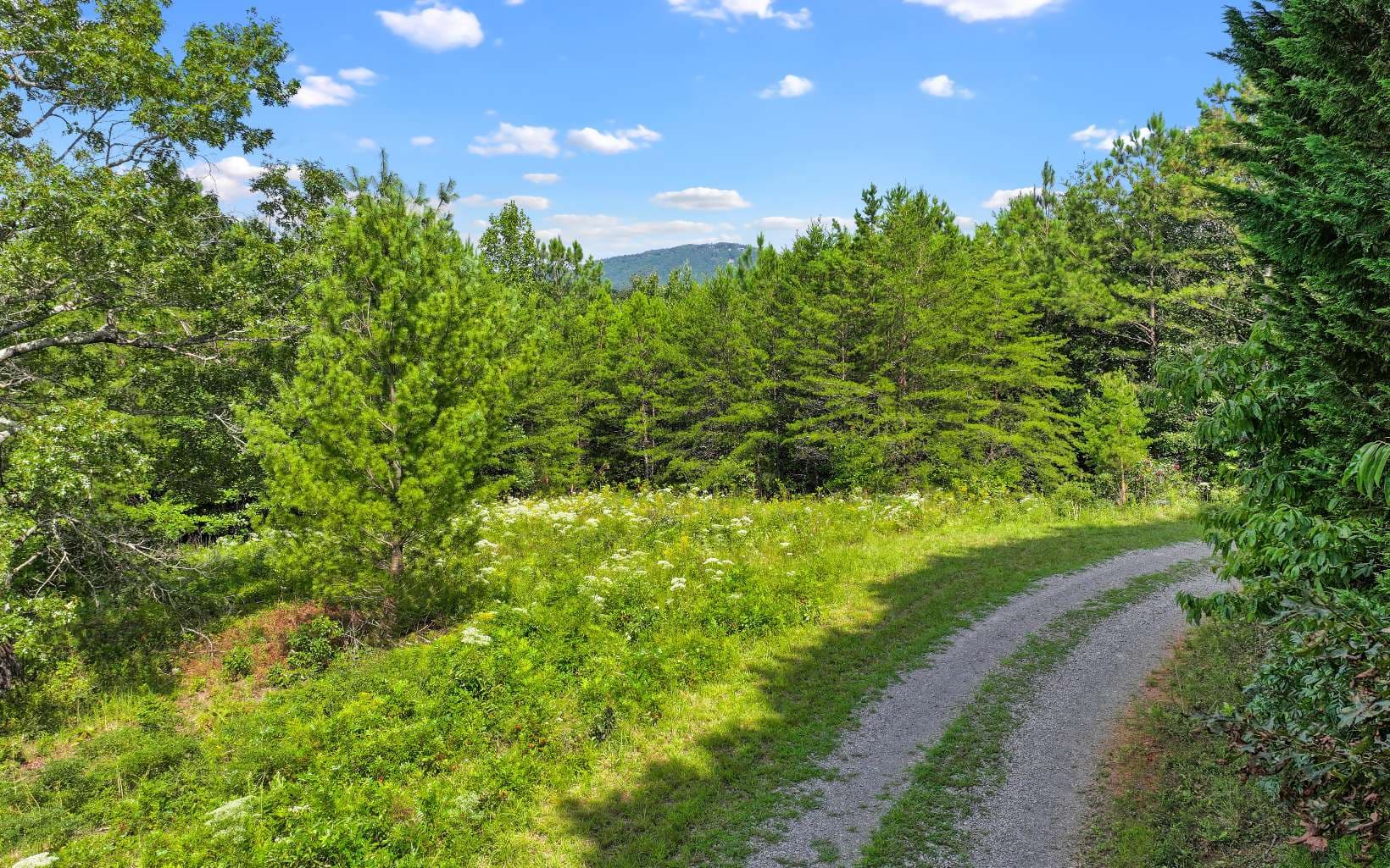 0 North View Trail, Mineral Bluff GA 30559 - Photo