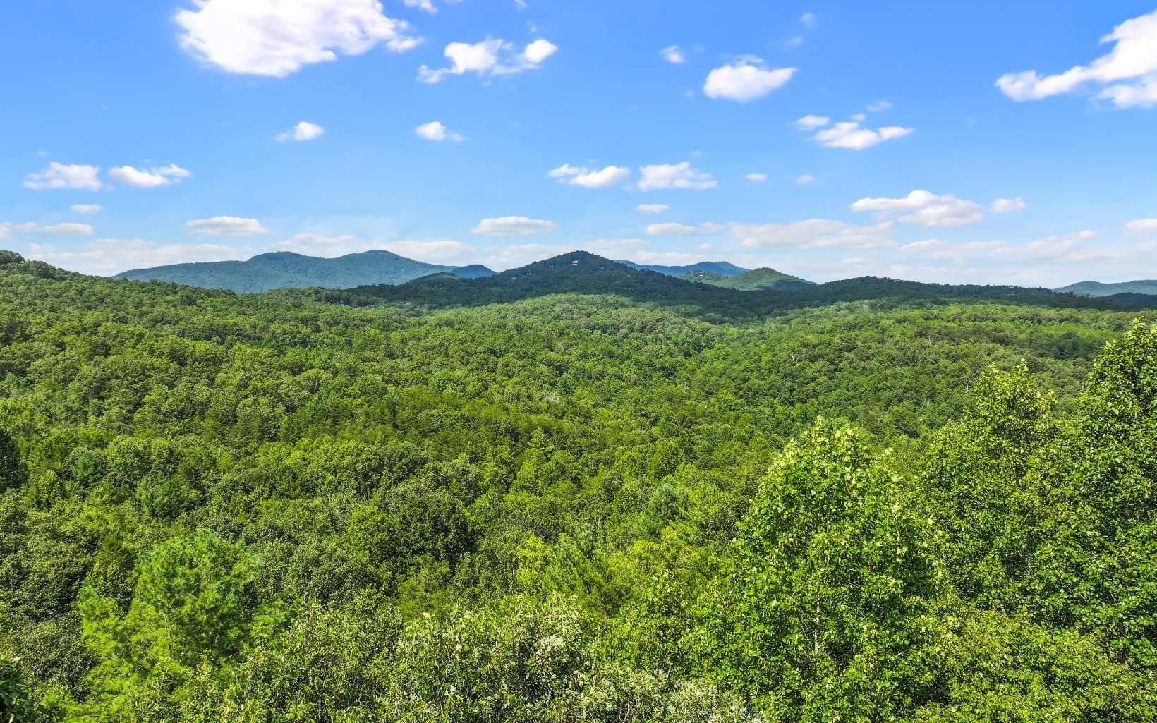 0 North View Trail, Mineral Bluff GA 30559 - Photo