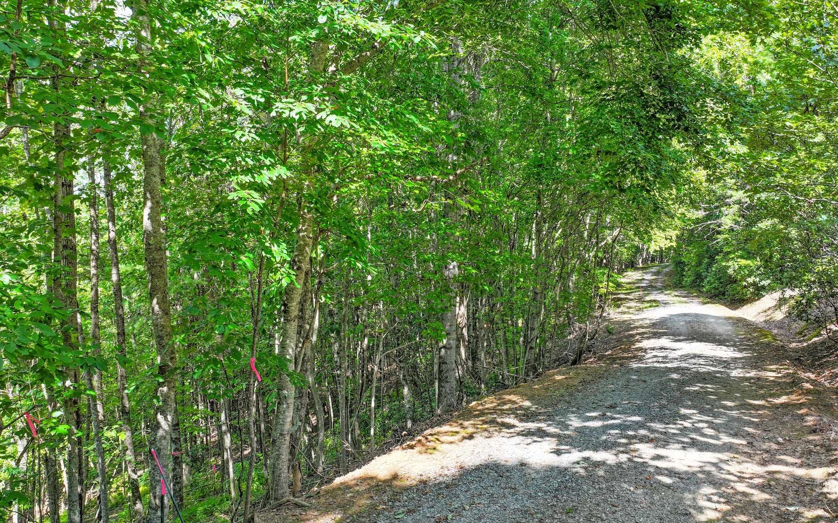 0 North View Trail, Mineral Bluff GA 30559 - Photo