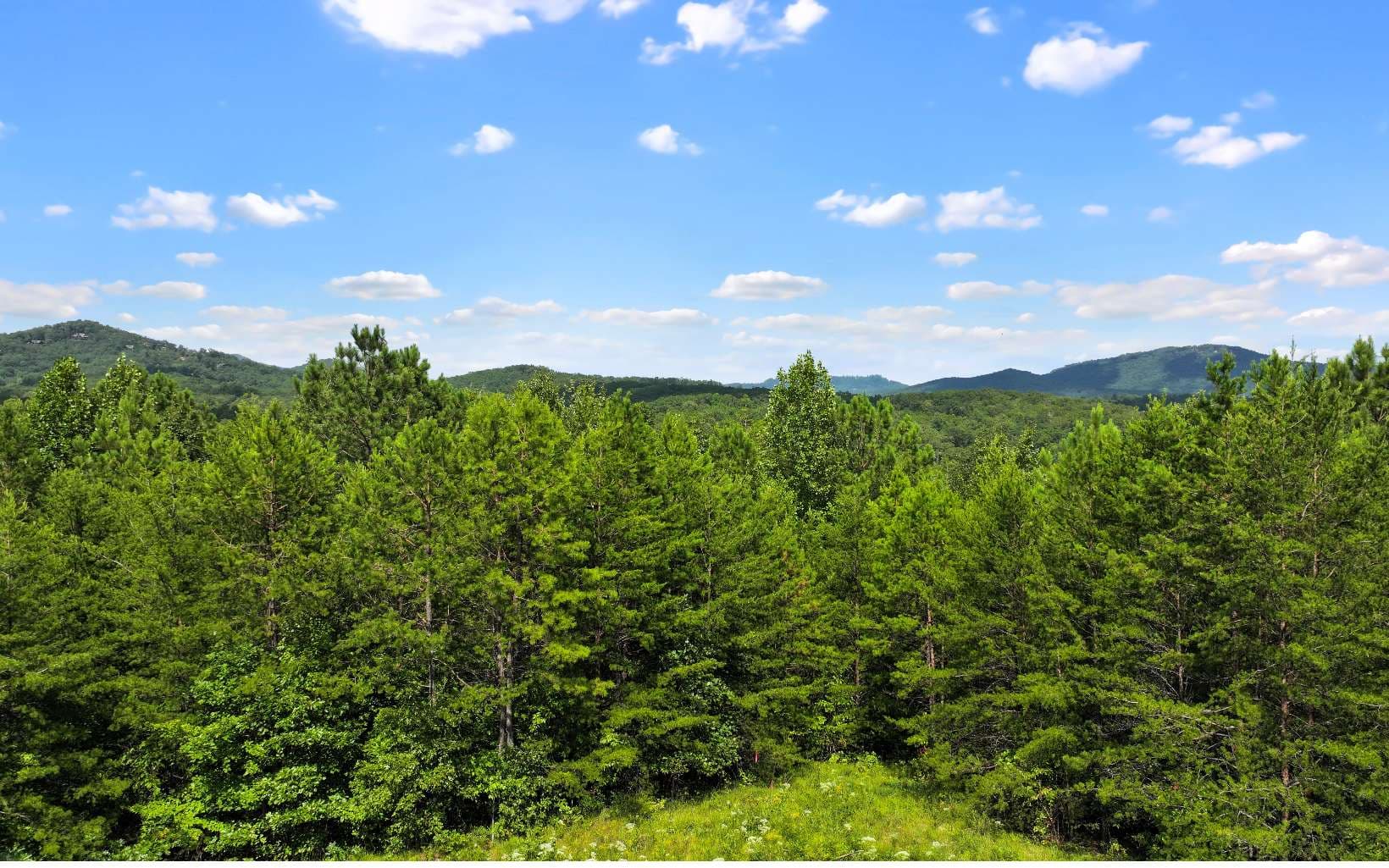 0 North View Trail, Mineral Bluff GA 30559 - Photo