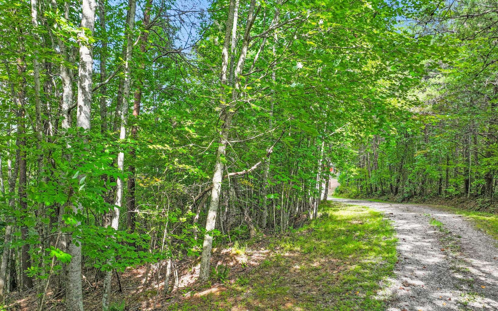 0 North View Trail, Mineral Bluff GA 30559 - Primary photo