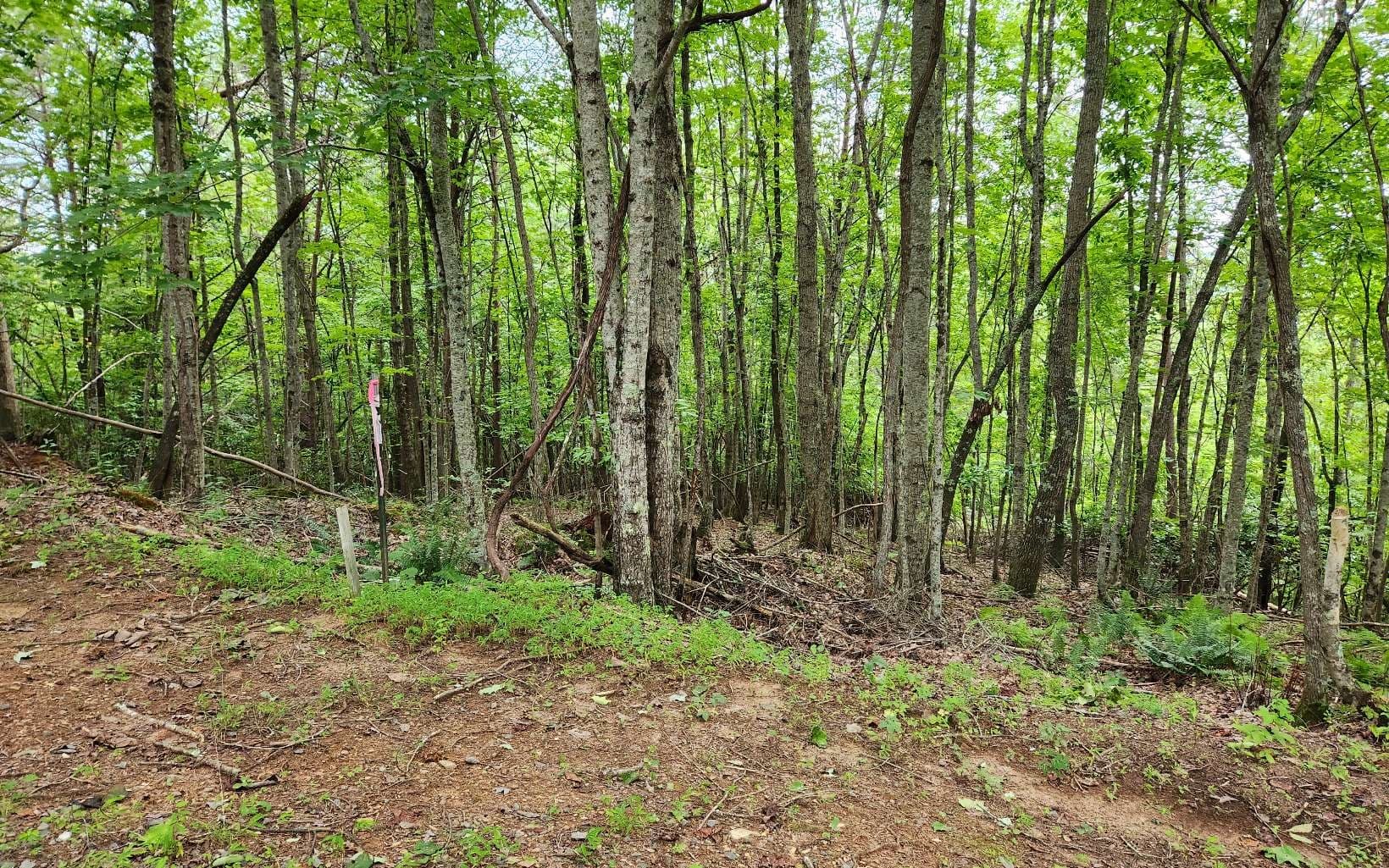 0 North View Trail, Mineral Bluff GA 30559 - Photo