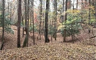 666 Abbey Court, Ellijay GA 30540 - Primary photo