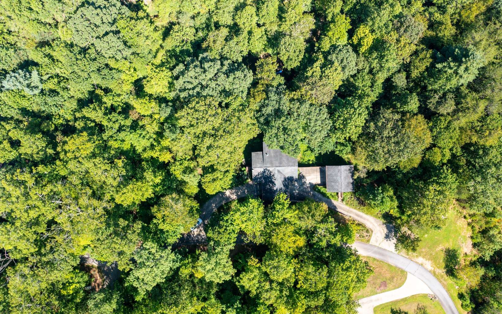 76 Hollyanne Pond Road, Hayesville NC 28904 - Photo