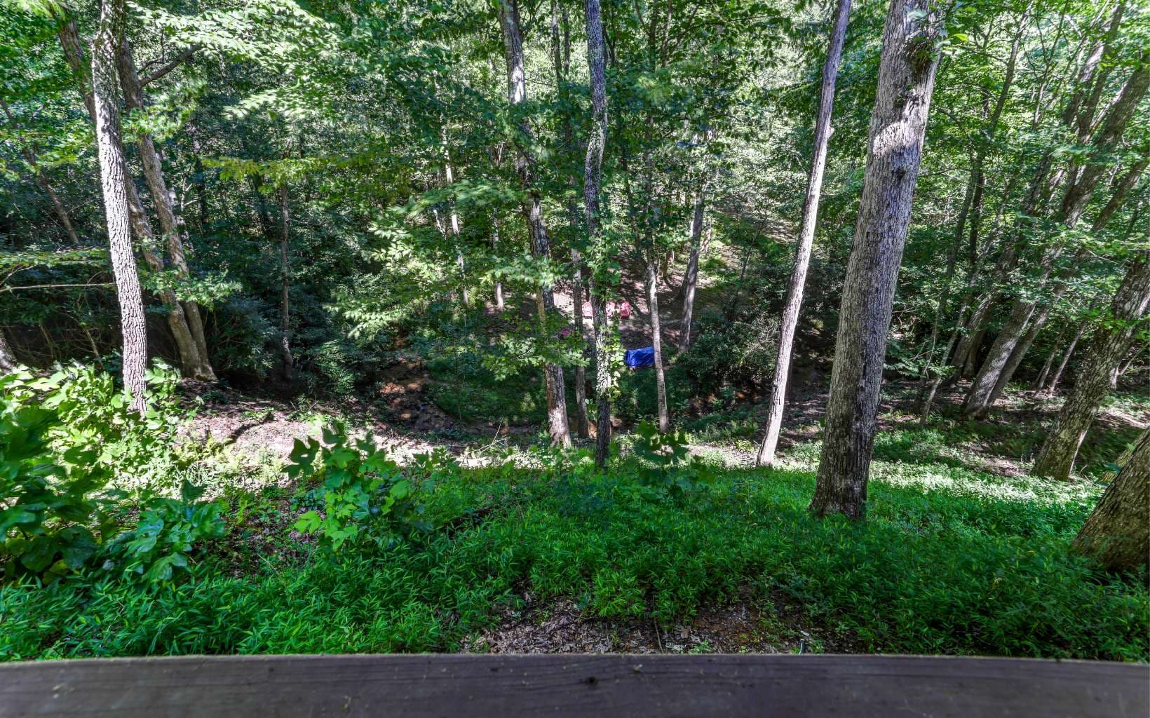 76 Hollyanne Pond Road, Hayesville NC 28904 - Photo