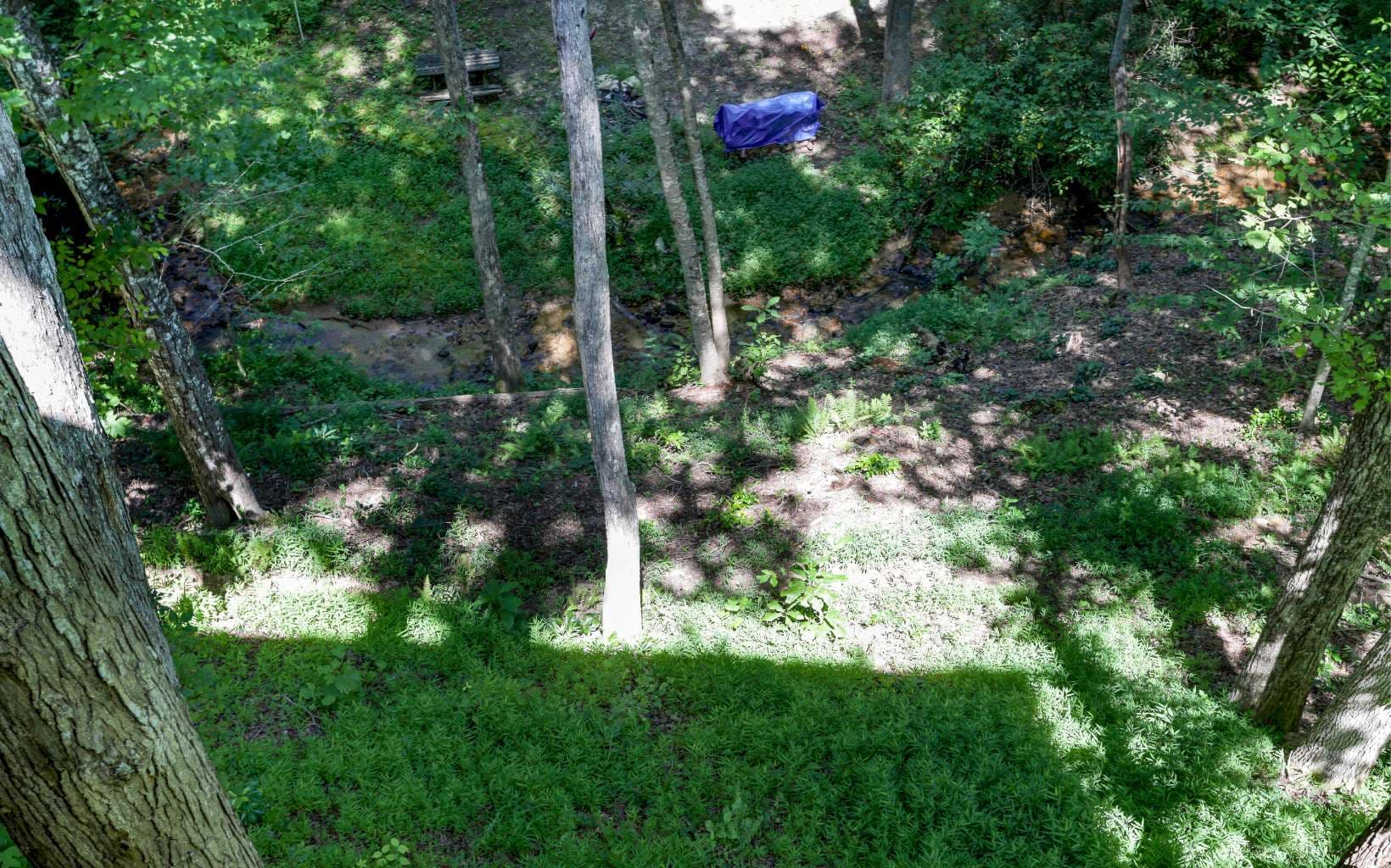 76 Hollyanne Pond Road, Hayesville NC 28904 - Photo