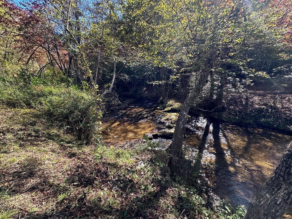 LT 26 Arbor Creek Trail, Mineral Bluff GA 30559 - Photo