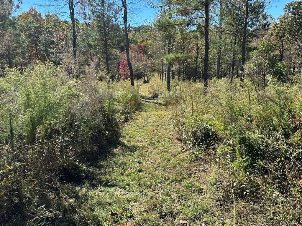 LT 26 Arbor Creek Trail, Mineral Bluff GA 30559 - Photo