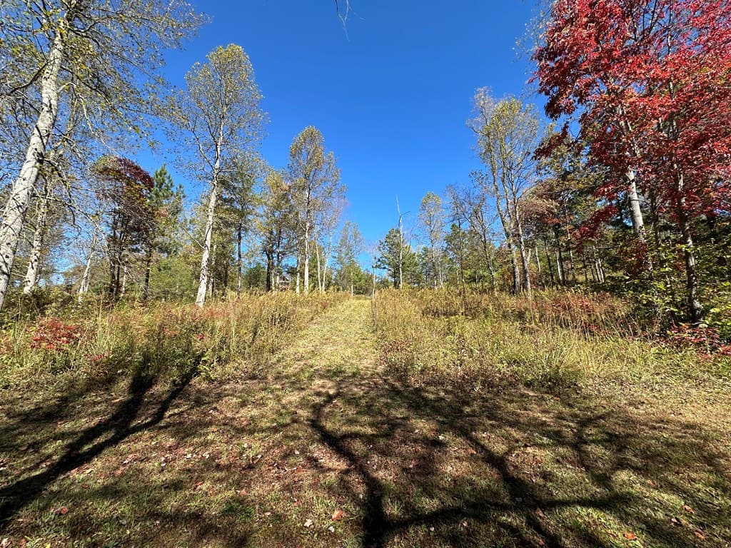 LT 26 Arbor Creek Trail, Mineral Bluff GA 30559 - Photo