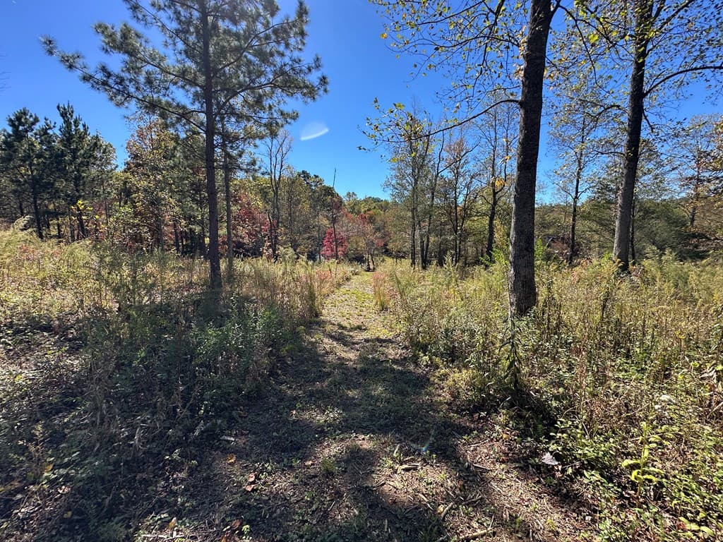 LT 26 Arbor Creek Trail, Mineral Bluff GA 30559 - Photo