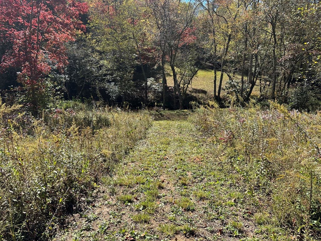 LT 26 Arbor Creek Trail, Mineral Bluff GA 30559 - Photo