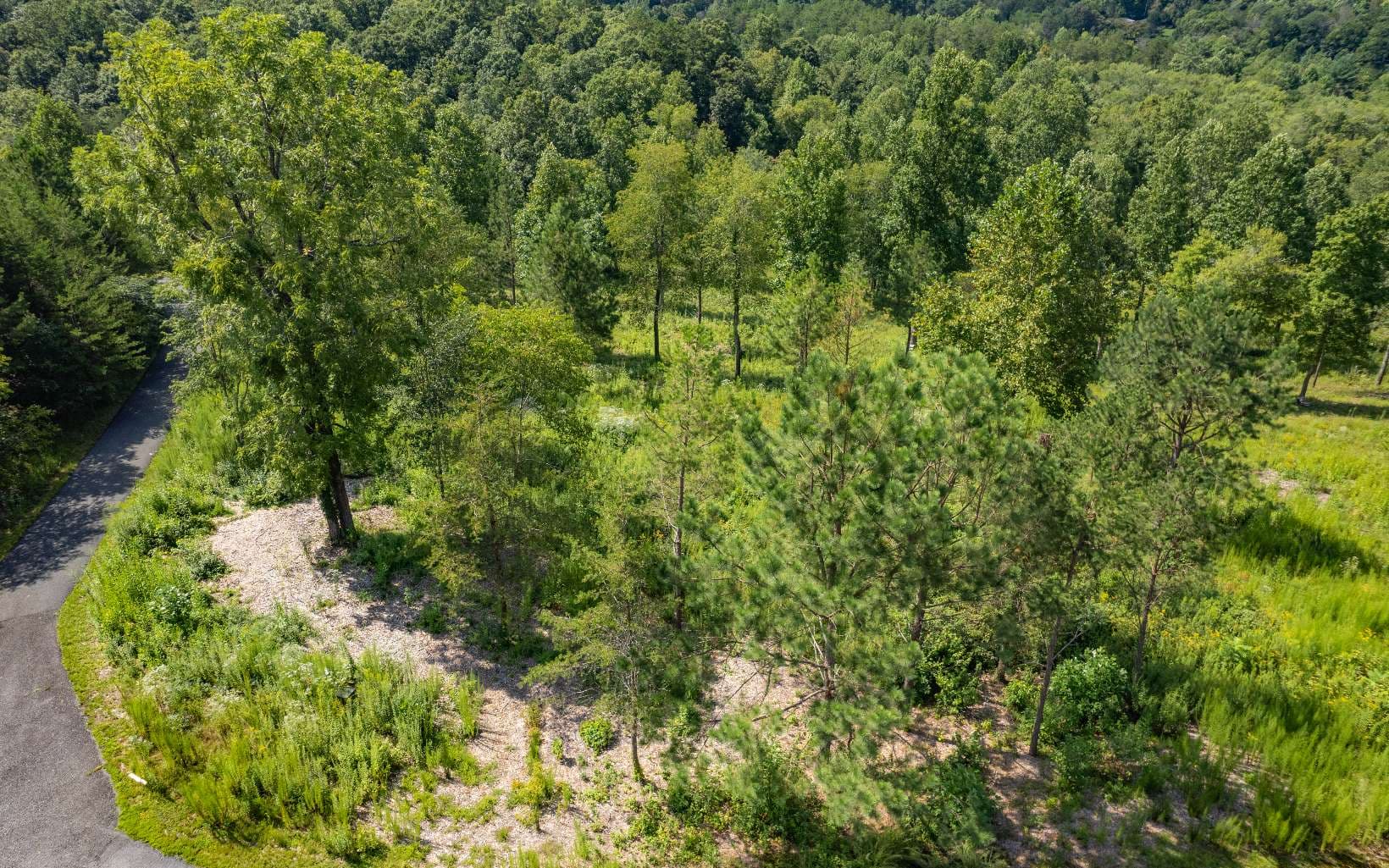 LT 26 Arbor Creek Trail, Mineral Bluff GA 30559 - Photo