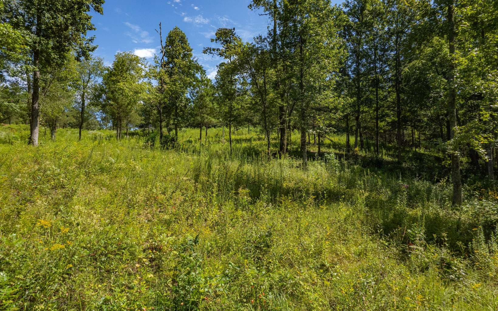 LT 26 Arbor Creek Trail, Mineral Bluff GA 30559 - Photo