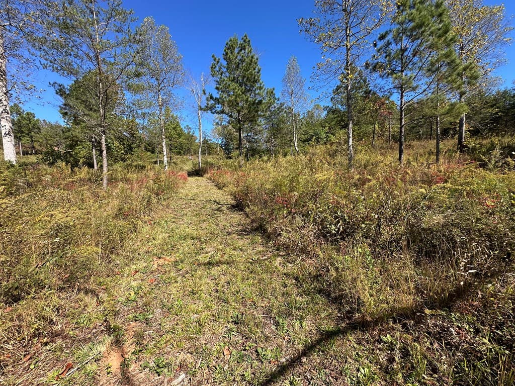 LT 26 Arbor Creek Trail, Mineral Bluff GA 30559 - Photo