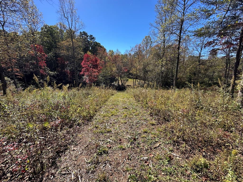 LT 26 Arbor Creek Trail, Mineral Bluff GA 30559 - Photo