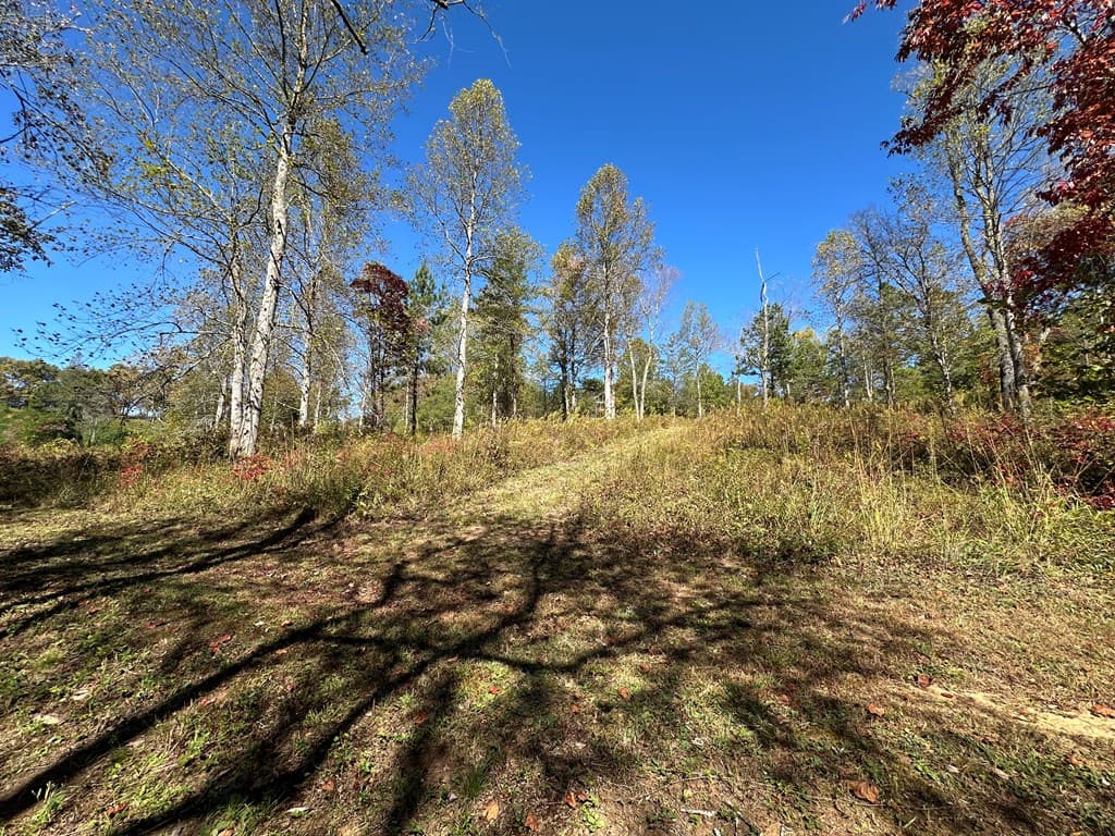 LT 26 Arbor Creek Trail, Mineral Bluff GA 30559 - Photo