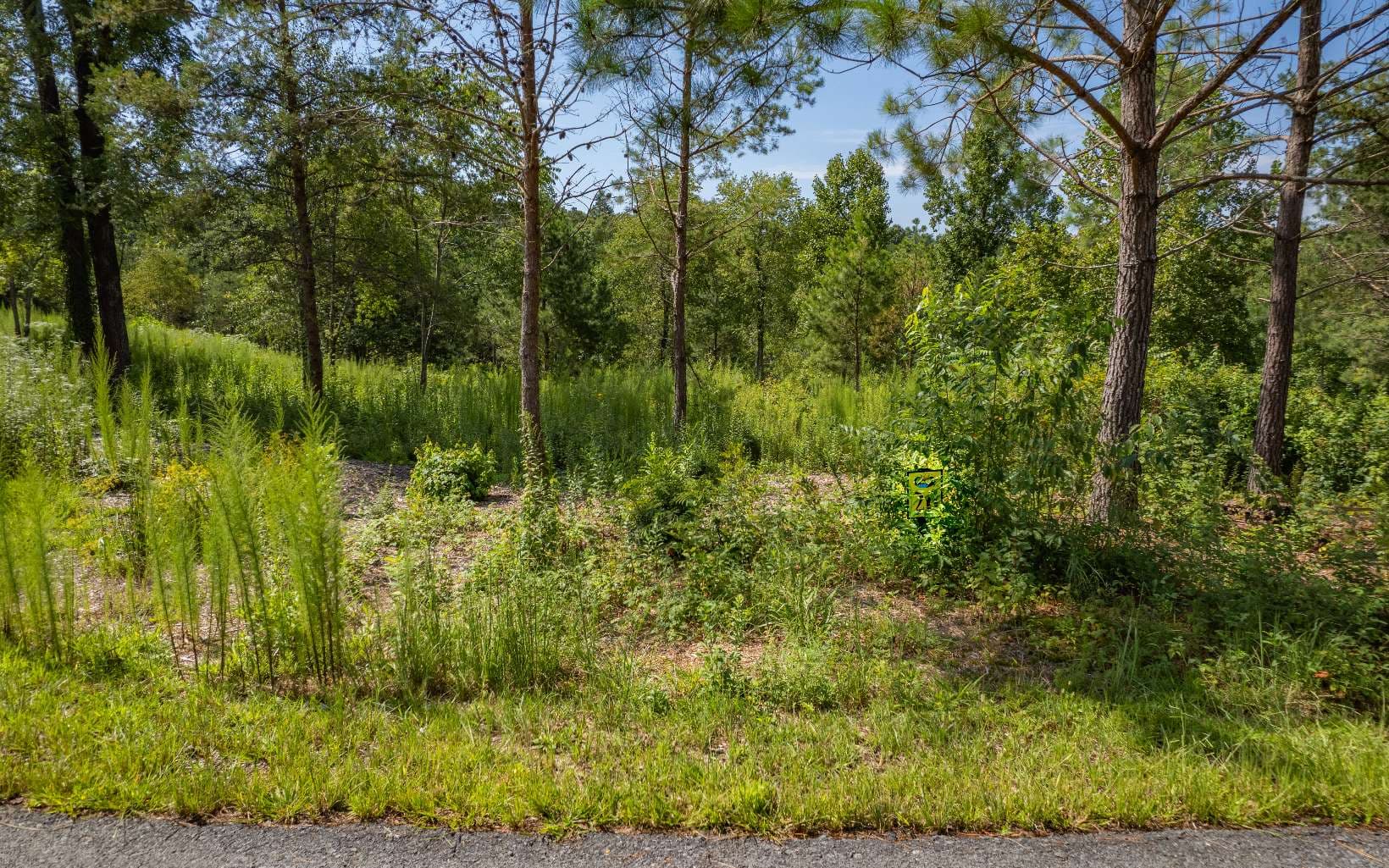 LT 26 Arbor Creek Trail, Mineral Bluff GA 30559 - Photo