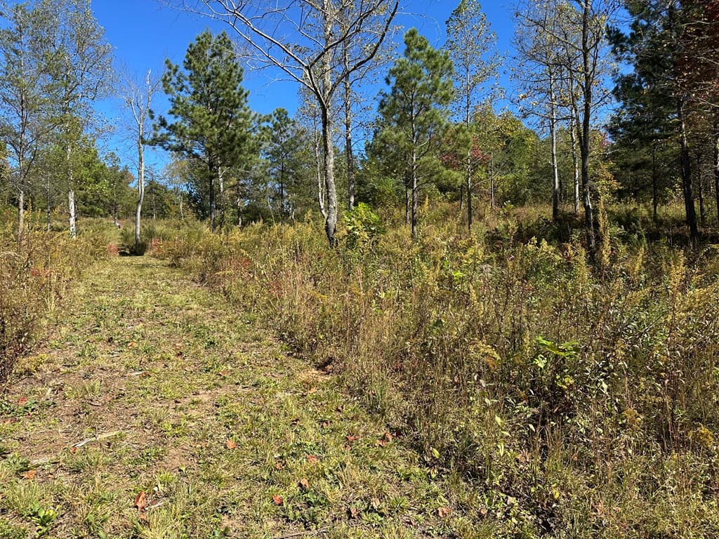 LT 26 Arbor Creek Trail, Mineral Bluff GA 30559 - Photo